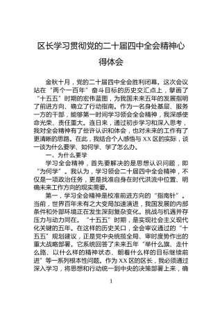 区长学习贯彻党的二十届四中全会精神心得体会