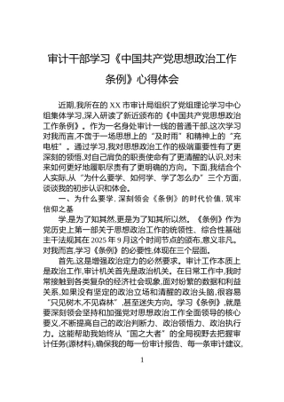 审计干部学习《中国共产党思想政治工作条例》心得体会