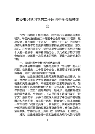 市委书记学习党的二十届四中全会精神体会