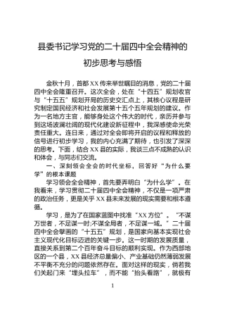 县委书记学习党的二十届四中全会精神的初步思考与感悟