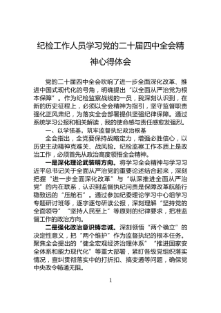 纪检工作人员学习党的二十届四中全会精神心得体会