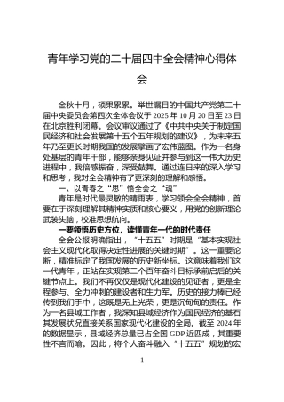 青年学习党的二十届四中全会精神心得体会