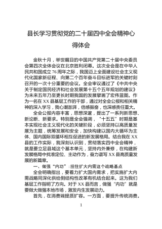 县长学习贯彻党的二十届四中全会精神心得体会