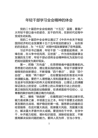 年轻干部学习全会精神的体会