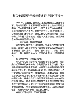 某公安局领导干部年度述职述责述廉报告