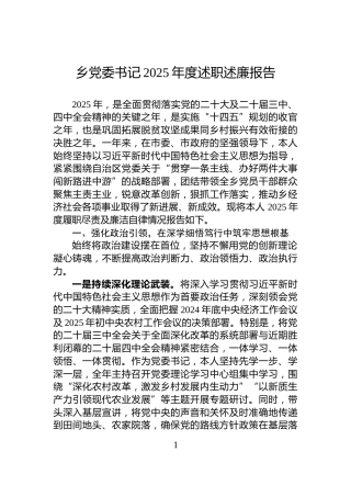 乡党委书记2025年度述职述廉报告