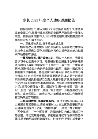 乡长2025年度个人述职述廉报告