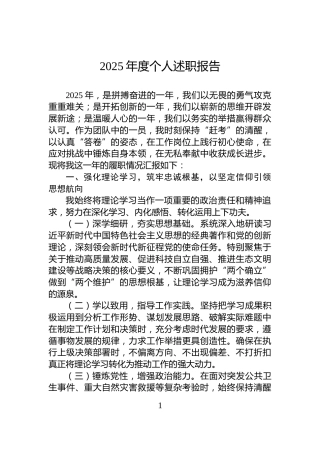 2025年度个人述职报告