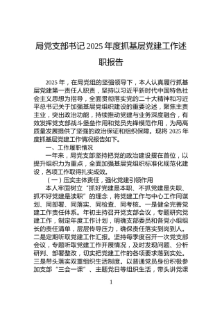 局党支部书记2025年度抓基层党建工作述职报告