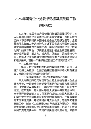 2025年国有企业党委书记抓基层党建工作述职报告