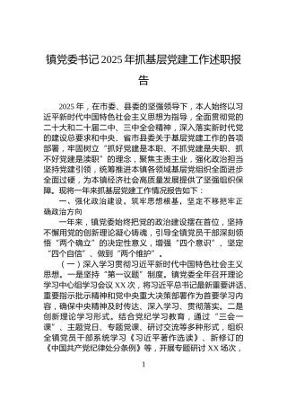 镇党委书记2025年抓基层党建工作述职报告