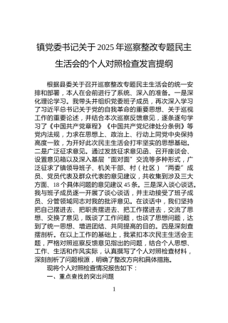 镇党委书记关于2025年巡察整改专题民主生活会的个人对照检查发言提纲