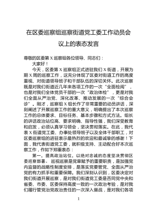 在区委巡察组巡察街道党工委工作动员会议上的表态发言