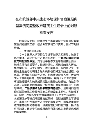 在市统战部中央生态环境保护督察通报典型案例问题整改专题民主生活会上的对照检查发言