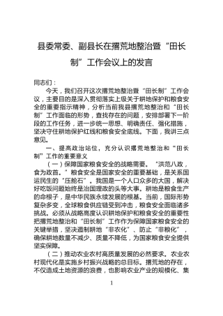 县委常委、副县长在撂荒地整治暨“田长制”工作会议上的发言