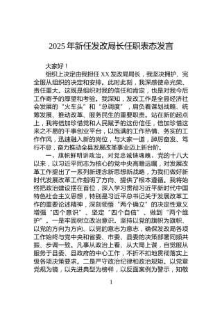2025年新任发改局长任职表态发言