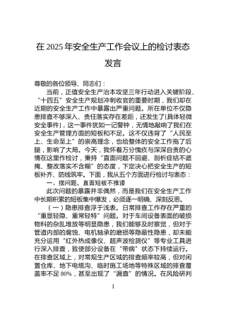 在2025年安全生产工作会议上的检讨表态发言