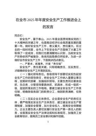 在全市2025年年度安全生产工作推进会上的发言