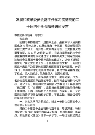 发展和改革委员会副主任学习贯彻党的二十届四中全会精神研讨发言