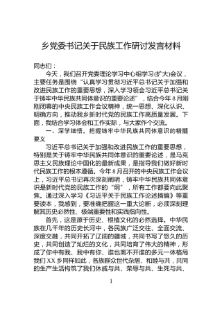 乡党委书记关于民族工作研讨发言材料