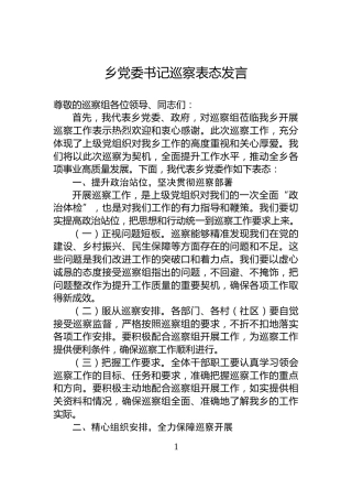 乡党委书记巡察表态发言
