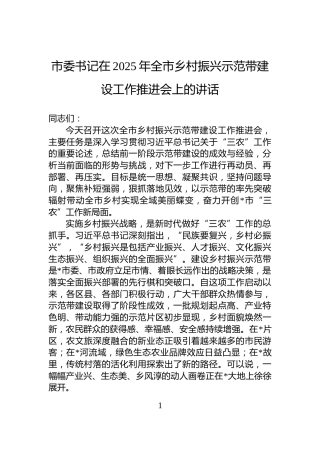 市委书记在2025年全市乡村振兴示范带建设工作推进会上的讲话