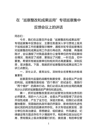 在“巡察整改和成果运用”专项巡察集中反馈会议上的讲话