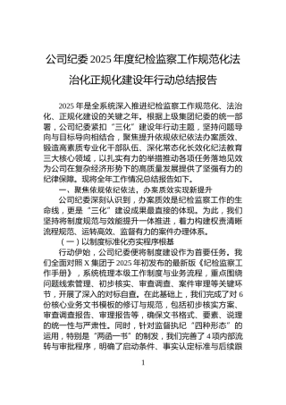 公司纪委2025年度纪检监察工作规范化法治化正规化建设年行动总结报告