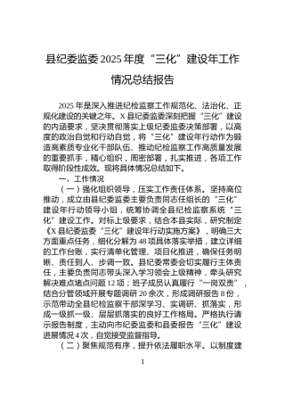 县纪委监委2025年度“三化”建设年工作情况总结报告