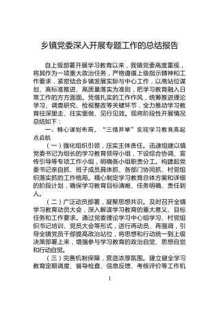 乡镇党委深入开展专题工作的总结报告