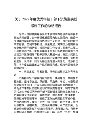 关于2025年度优秀年轻干部下沉街道实践锻炼工作的总结报告