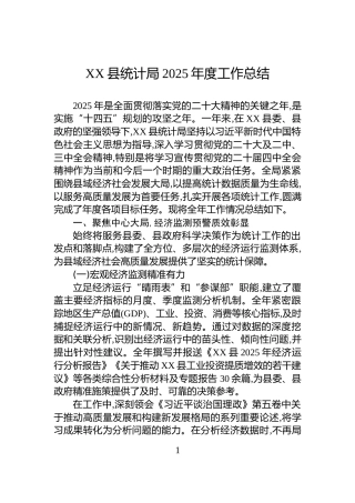XX县统计局2025年度工作总结