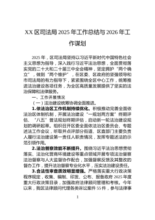 XX区司法局2025年工作总结与2026年工作谋划