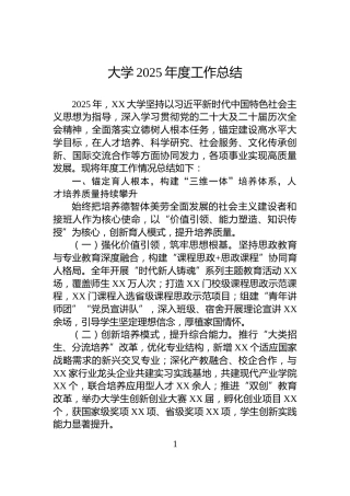 大学2025年度工作总结