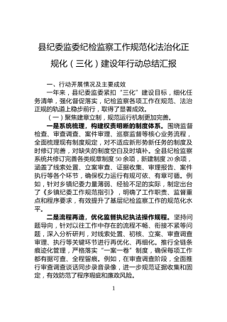 县纪委监委纪检监察工作规范化法治化正规化（三化）建设年行动总结汇报