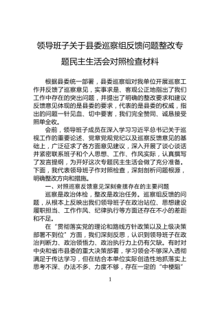 领导班子关于县委巡察组反馈问题整改专题民主生活会对照检查材料