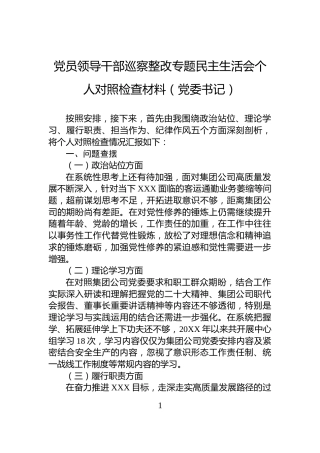 党员领导干部巡察整改专题民主生活会个人对照检查材料（党委书记）