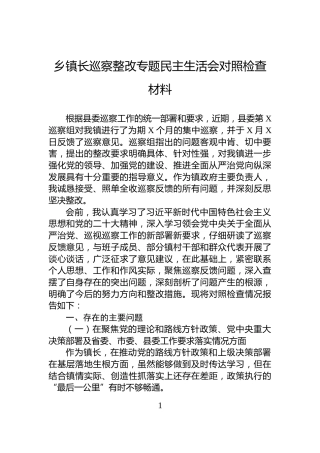 乡镇长巡察整改专题民主生活会对照检查材料