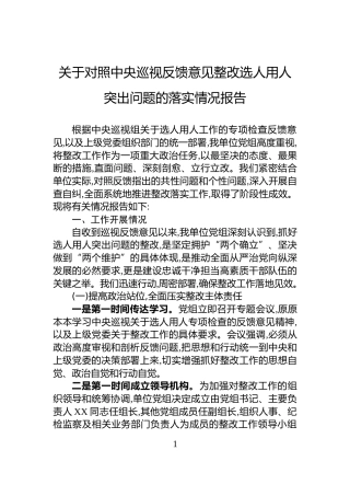 关于对照中央巡视反馈意见整改选人用人突出问题的落实情况报告