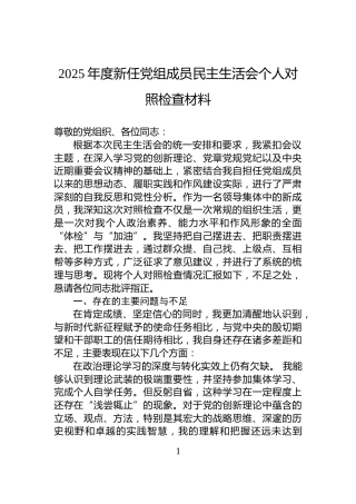 2025年度新任党组成员民主生活会个人对照检查材料
