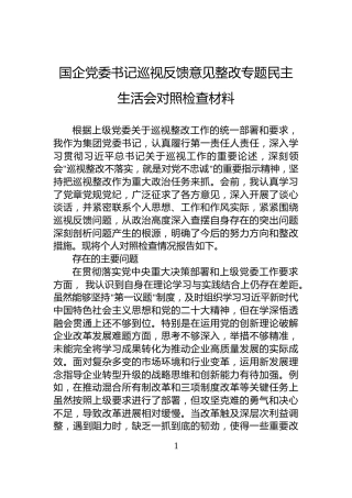国企党委书记巡视反馈意见整改专题民主生活会对照检查材料