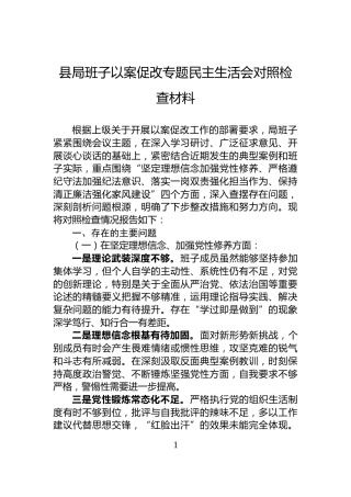 县局班子以案促改专题民主生活会对照检查材料