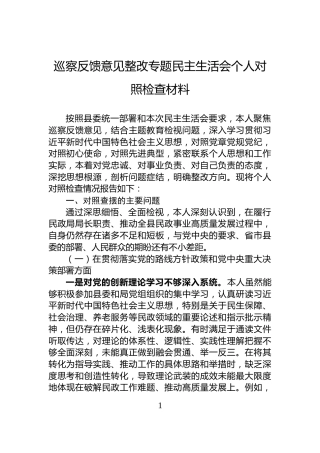 巡察反馈意见整改专题民主生活会个人对照检查材料