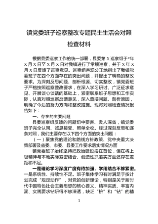 镇党委班子巡察整改专题民主生活会对照检查材料