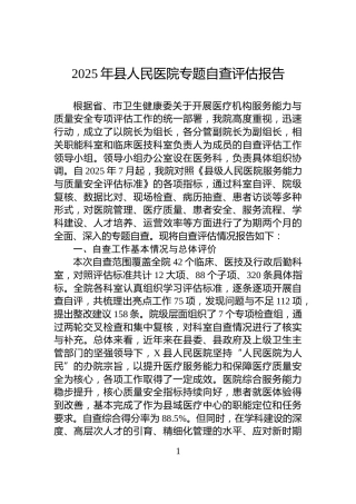 2025年县人民医院专题自查评估报告