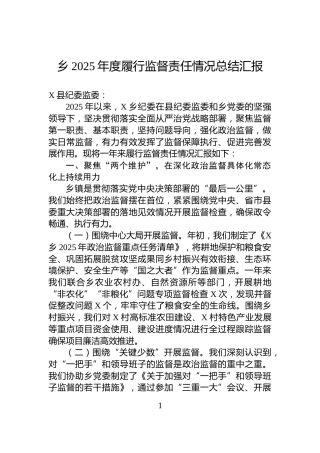 乡2025年度履行监督责任情况总结汇报
