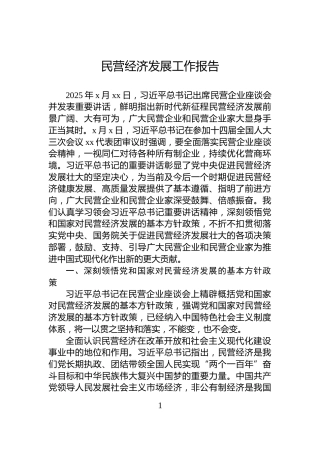民营经济发展工作报告