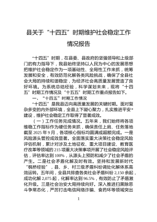 县关于“十四五”时期维护社会稳定工作情况报告
