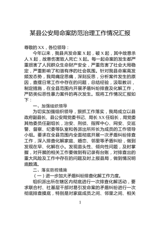 某县公安局命案防范治理工作情况汇报