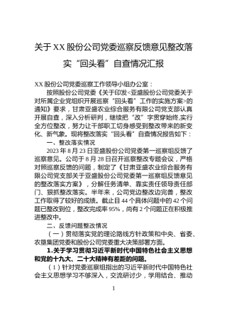 关于XX股份公司党委巡察反馈意见整改落实“回头看”自查情况汇报